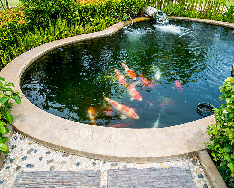 Pond Maintenance Services in Essex & Hertfordshire. Call now on 0778 863 7501 for a FREE Estimate. Keep your pond healthy and beautiful!