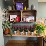 Floral Desire Florist Bishops Stortford Shop Makeover